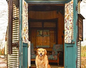 Guest house 172031 - Holiday property Midden Drenthe - Huisje in Papenvoort