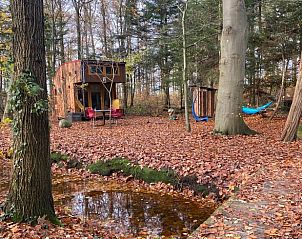 Guest house 172034 • Holiday property Midden Drenthe • Vakantiehuis in Papenvoort 