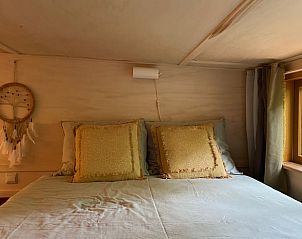Guest house 172034 - Holiday property Midden Drenthe - Vakantiehuis in Papenvoort
