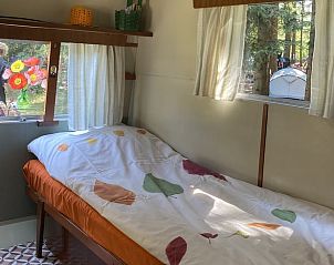 Guest house 172036 - Holiday property Midden Drenthe - Vakantiehuis in Papenvoort