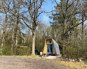 Guest house 172038 - Holiday property Midden Drenthe - Huisje in Papenvoort