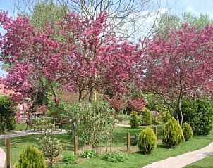 Guest house 172201 - Holiday property Midden Drenthe - Huis Iris