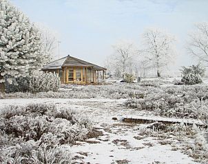 Guest house 172202 - Holiday property Midden Drenthe - Heide Huisje