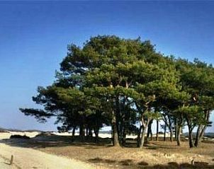 Verblijf 172305 - Vakantiewoning Midden Drenthe - Vakantiehuis 't Anderhoes