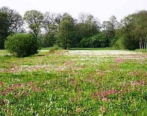 Verblijf 172305 - Vakantiewoning Midden Drenthe - Vakantiehuis 't Anderhoes