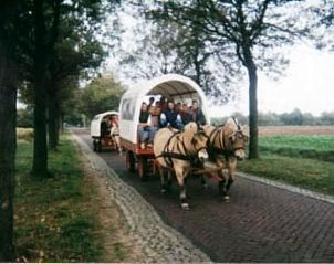 Verblijf 172305 - Vakantiewoning Midden Drenthe - Vakantiehuis 't Anderhoes