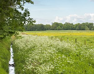 Guest house 172306 - Holiday property Midden Drenthe - Huisje in Anderen