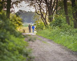 Guest house 172306 - Holiday property Midden Drenthe - Huisje in Anderen