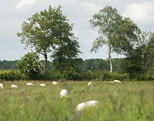 Guest house 172306 - Holiday property Midden Drenthe - Huisje in Anderen