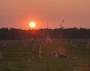 Guest house 172306 - Holiday property Midden Drenthe - Huisje in Anderen