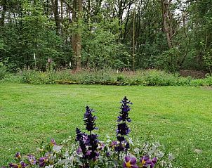 Guest house 172502 - Holiday property Midden Drenthe - Vakantiehuisje in Westerbork