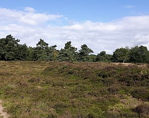 Guest house 172502 - Holiday property Midden Drenthe - Vakantiehuisje in Westerbork