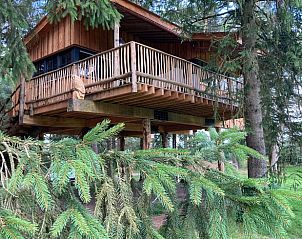 Guest house 172504 • Holiday property Midden Drenthe • Vakantiehuis in Westerbork 