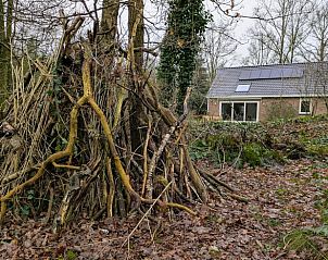 Guest house 172505 - Holiday property Midden Drenthe - Vakantiehuis in Westerbork