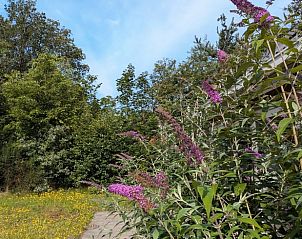 Guest house 172505 - Holiday property Midden Drenthe - Vakantiehuis in Westerbork