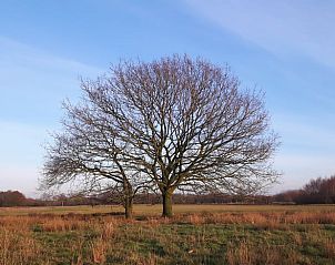 Guest house 172505 - Holiday property Midden Drenthe - Vakantiehuis in Westerbork