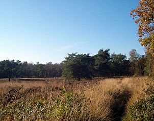 Guest house 172511 - Holiday property Midden Drenthe - Huisje in Westerbork