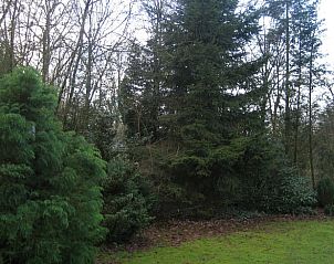 Guest house 172528 - Holiday property Midden Drenthe - Vakantiehuisje in Westerbork