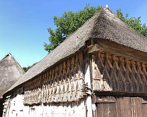 Guest house 172540 - Holiday property Midden Drenthe - DG1513