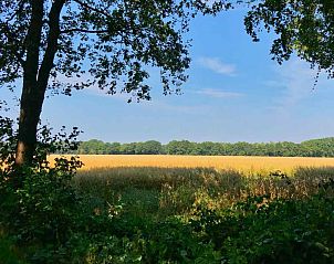 Guest house 172540 - Holiday property Midden Drenthe - DG1513