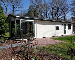 Verblijf 172807 • Chalet Midden Drenthe • Boterbloem Chalet 4 