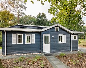 Verblijf 172808 - Chalet Midden Drenthe - Dotterbloem Chalet 4