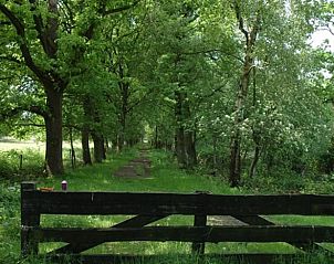 Verblijf 172818 - Vakantiewoning Midden Drenthe - Huisje in Hooghalen
