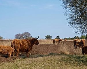Verblijf 172818 - Vakantiewoning Midden Drenthe - Huisje in Hooghalen