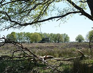 Verblijf 172818 - Vakantiewoning Midden Drenthe - Huisje in Hooghalen
