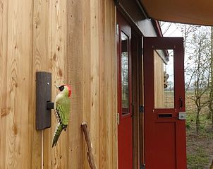 Houten gevel en entree van vakantiehuisje in Mantinge, Midden Drenthe, met unieke decoratie.
