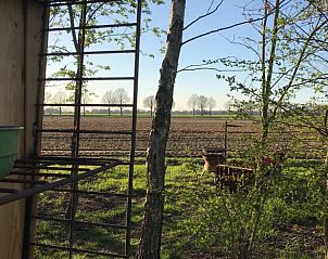 Uitzicht op de velden vanuit vakantiehuisje in Mantinge, Midden Drenthe, ideaal voor natuurliefhebbers.
