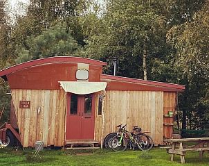 Ochtendmist over de velden bij vakantiehuisje in Mantinge, Midden Drenthe, voor een serene start.