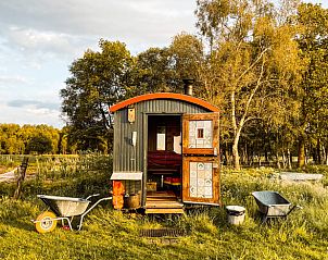Rustiek vakantiehuisje in Mantinge, Drenthe omgeven door natuur.
