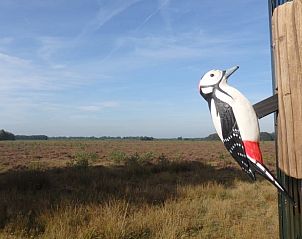 Uitzicht op natuur vanuit vakantiehuisje in Mantinge, Drenthe.