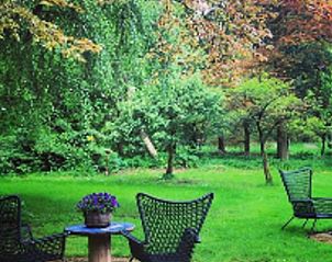 Groene tuin bij vakantiehuisje in Mantinge, Drenthe met zitjes.