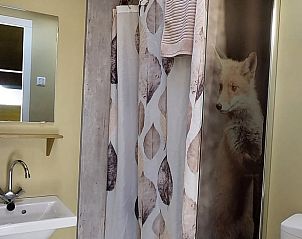 Badkamer van Huisje in Mantinge, vakantiehuis in Midden Drenthe, met moderne voorzieningen en sfeervolle details.