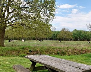 Verblijf 172908 - Vakantiewoning Midden Drenthe - Huisje in Mantinge