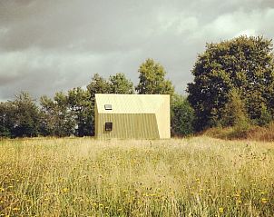 Rustiek vakantiehuisje in Mantinge, Midden Drenthe, met een prachtig uitzicht op wilde bloemen en bossen.