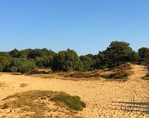 Zandduinen nabij Huisje in Mantinge, vakantieaccommodatie in Drenthe, ideaal voor wandelingen in een serene omgeving.
