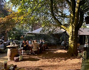 Gezellige eetruimte in de buitenlucht bij Vakantiehuisje in Mantinge, Midden Drenthe, met schaduwrijke bomen.
