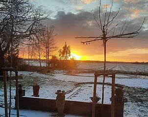 Guest house 173006 - Holiday property Midden Drenthe - Huisje in Eesergroen