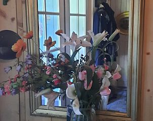 Guest house 173006 - Holiday property Midden Drenthe - Huisje in Eesergroen