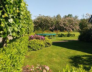 Guest house 173007 - Holiday property Midden Drenthe - DG1811