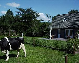 Guest house 173008 - Holiday property Midden Drenthe - Huisje in Eesergroen