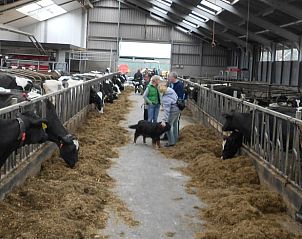 Guest house 173008 - Holiday property Midden Drenthe - Huisje in Eesergroen