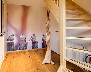 Guest house 173236 - Bungalow Midden Drenthe - Hof van Saksen | 10-persoons boerderij | 10L1