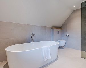 Unterkunft 173271 - Bungalow Midden Drenthe - Hof van Saksen | 8-persoons boerderij - Extra toegankelijk |