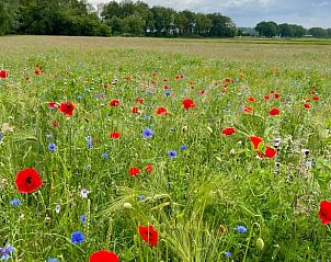 Guest house 173308 - Holiday property Midden Drenthe - Vakantiehuisje in Eeserveen