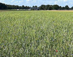 Guest house 173308 - Holiday property Midden Drenthe - Vakantiehuisje in Eeserveen