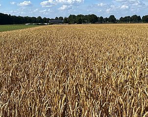 Guest house 173308 - Holiday property Midden Drenthe - Vakantiehuisje in Eeserveen